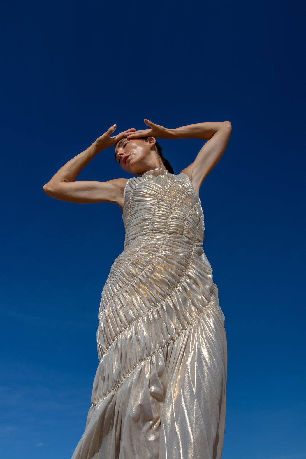 Fossil Dress Floor Length Metallic