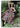 Sophie Ellis Bextor wears AW18 Willow Dress for RED Magazine