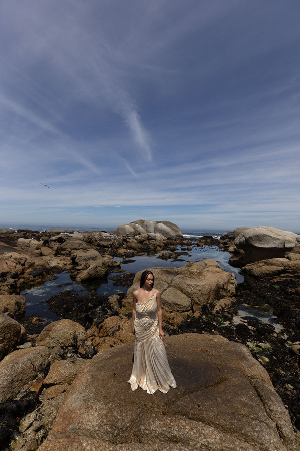 Impression Dress Floor Length Metallic