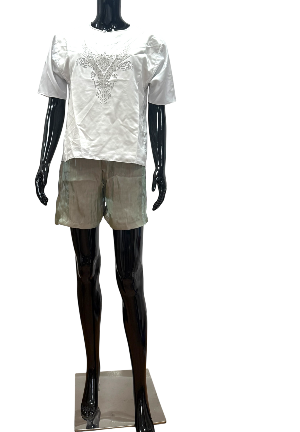 Satin Shorts - SAMPLE