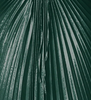 Reflective Dress