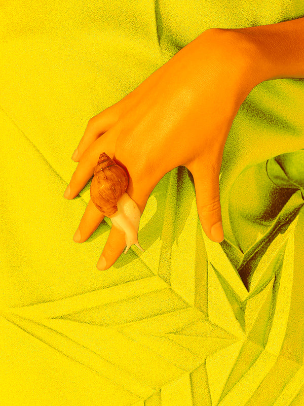 Hand with a snail on a yellow shirt with star design