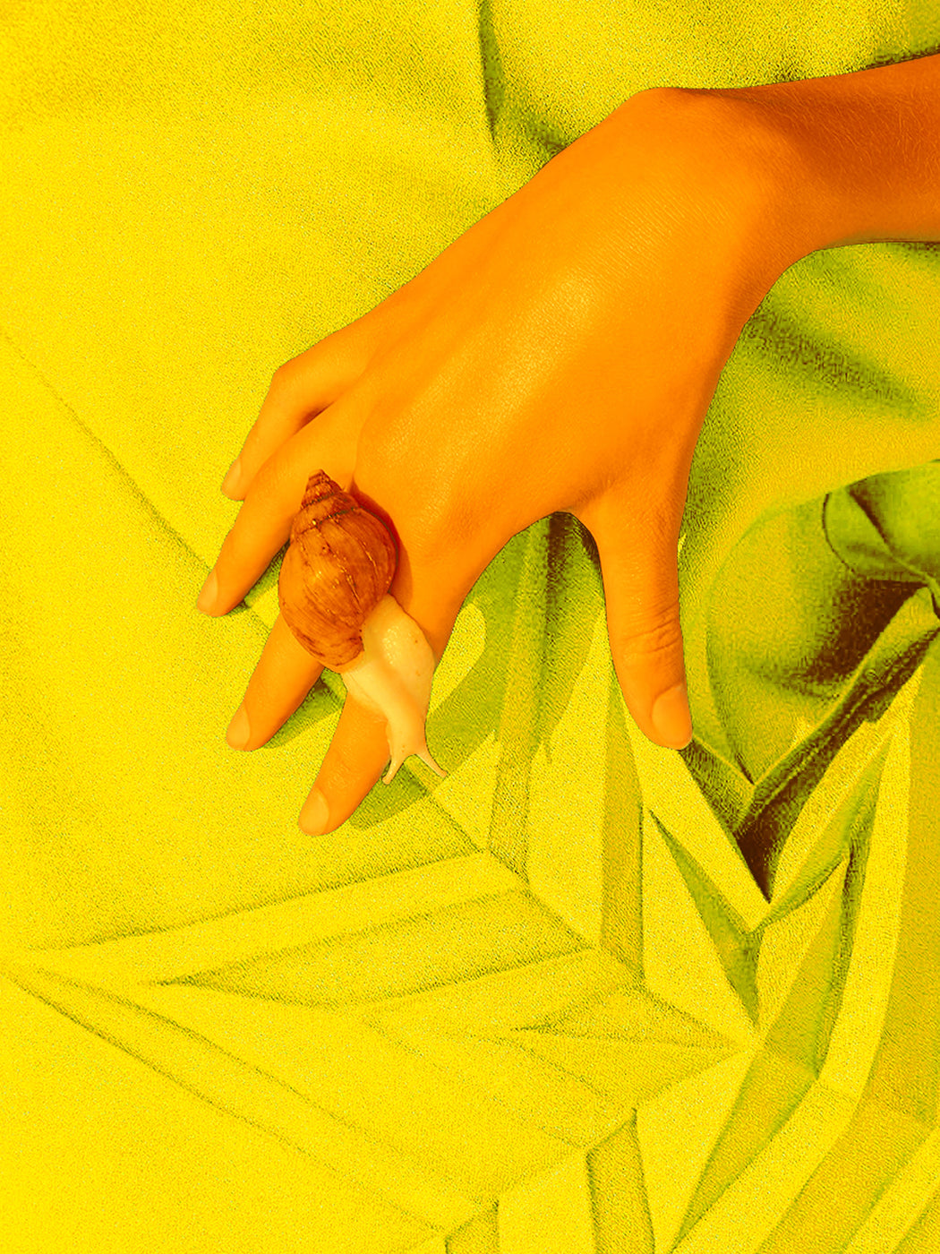 Hand with a snail on a yellow shirt with star design